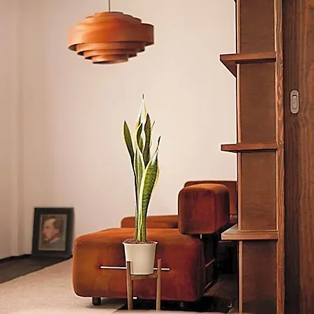Casa Boumort Отель *
